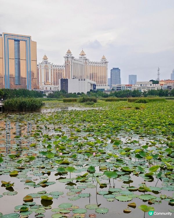 澳門一日遊攻略📷🇲🇴與labubu見面