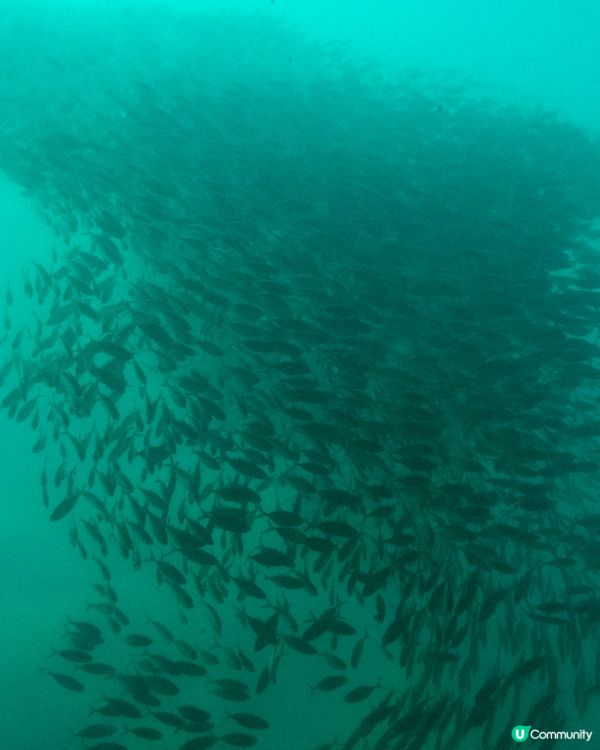 安達曼海上的隱世明珠 – Trang (下)