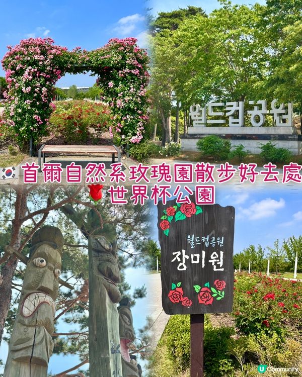 🇰🇷首爾自然系玫瑰園散步好去處 🌹世界杯公園