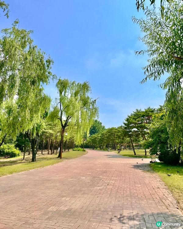 🇰🇷首爾自然系玫瑰園散步好去處 🌹世界杯公園