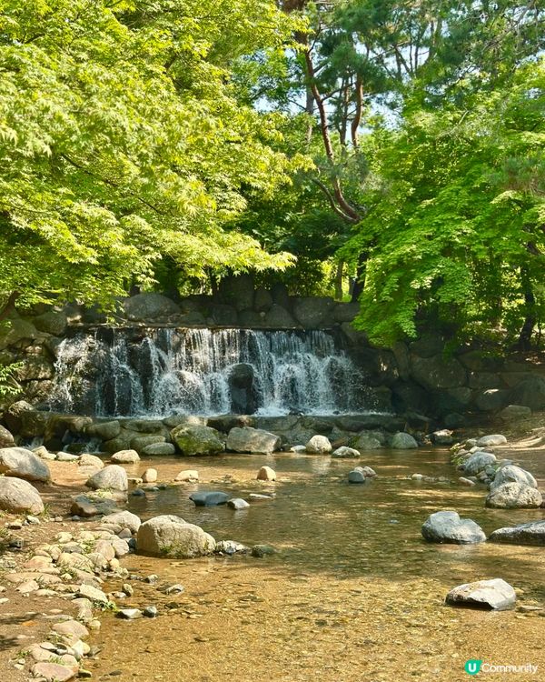 🇰🇷首爾自然系玫瑰園散步好去處 🌹世界杯公園