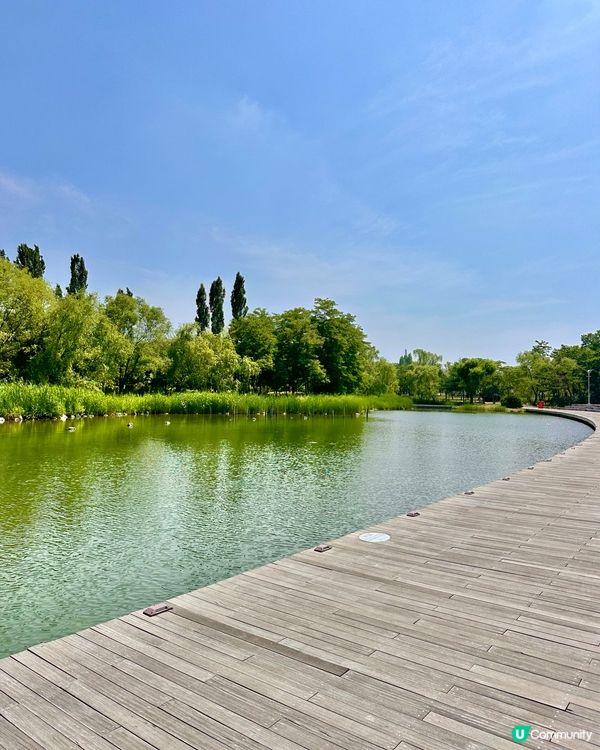 🇰🇷首爾自然系玫瑰園散步好去處 🌹世界杯公園