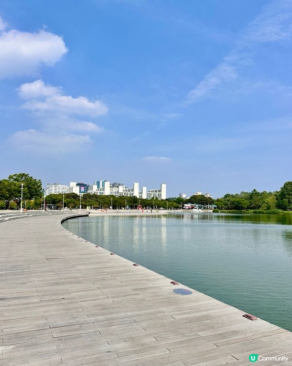 🇰🇷首爾自然系玫瑰園散步好去處 🌹世界杯公園
