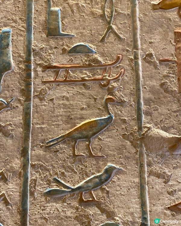 埃及自由行遊記:沙漠的呼喚(準備篇) vol.1 