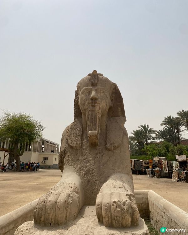 埃及自由行遊記:沙漠的呼喚(準備篇) vol.2