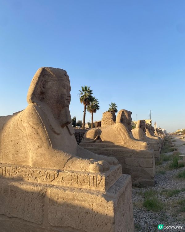 埃及自由行遊記:沙漠的呼喚(準備篇) vol.2