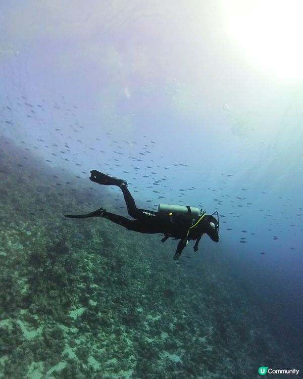 埃及自由行遊記:沙漠的呼喚(準備篇) vol.2