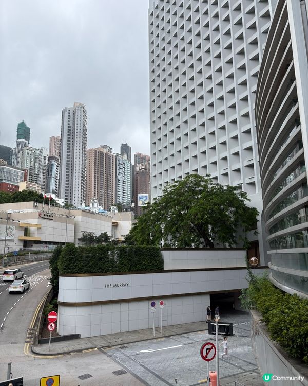 中環點心放題伏味濃？甜品係驚喜！🤤