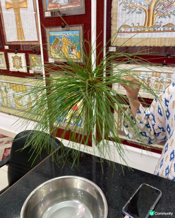 埃及自由行遊記:人類文明先驅 🌍✨vol. 3 