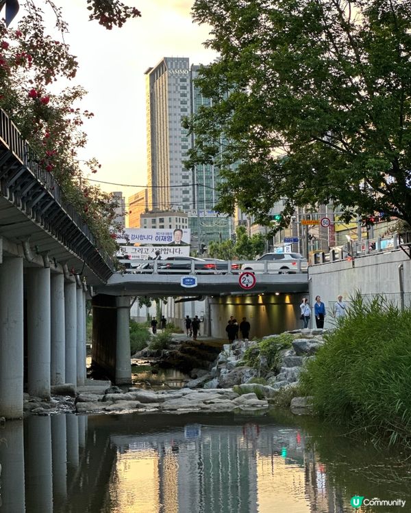 🇰🇷韓國首爾夏日散步好去處 💦 🌇黃昏閃耀溪畔