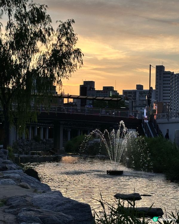 🇰🇷韓國首爾夏日散步好去處 💦 🌇黃昏閃耀溪畔