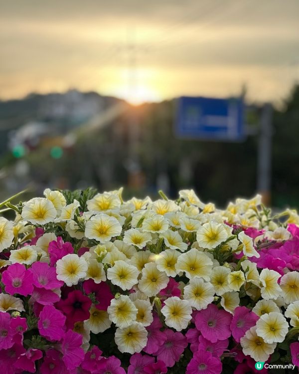 🇰🇷韓國首爾夏日散步好去處 💦 🌇黃昏閃耀溪畔