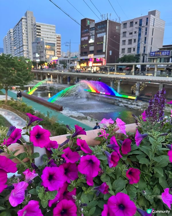 🇰🇷韓國首爾夏日散步好去處 💦 🌇黃昏閃耀溪畔