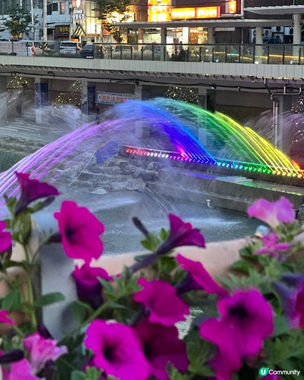 🇰🇷韓國首爾夏日散步好去處 💦 🌇黃昏閃耀溪畔