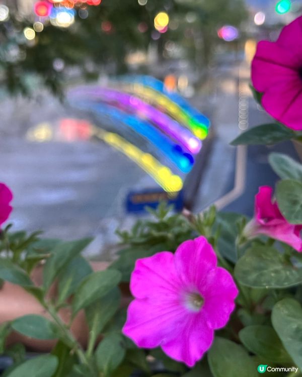 🇰🇷韓國首爾夏日散步好去處 💦 🌇黃昏閃耀溪畔