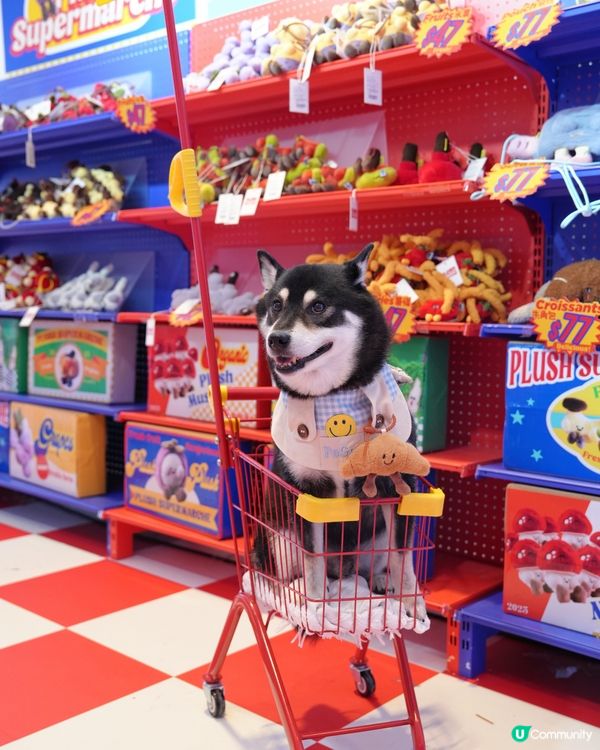 超市掃貨！可愛蔬果公仔🤩 快啲嚟打卡！📸