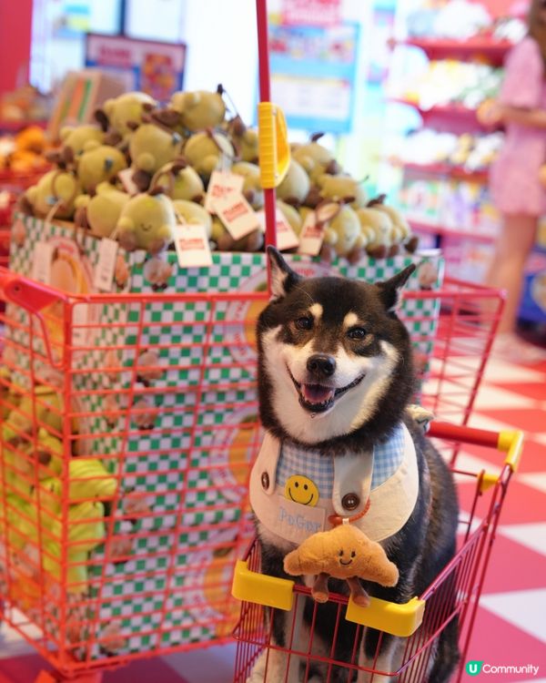 超市掃貨！可愛蔬果公仔🤩 快啲嚟打卡！📸