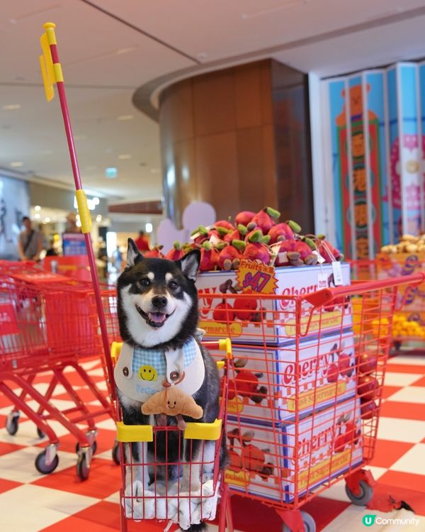 超市掃貨！可愛蔬果公仔🤩 快啲嚟打卡！📸