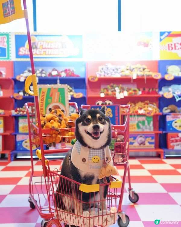 超市掃貨！可愛蔬果公仔🤩 快啲嚟打卡！📸