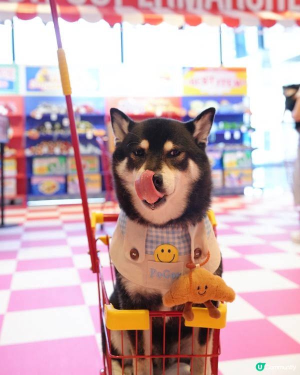 超市掃貨！可愛蔬果公仔🤩 快啲嚟打卡！📸