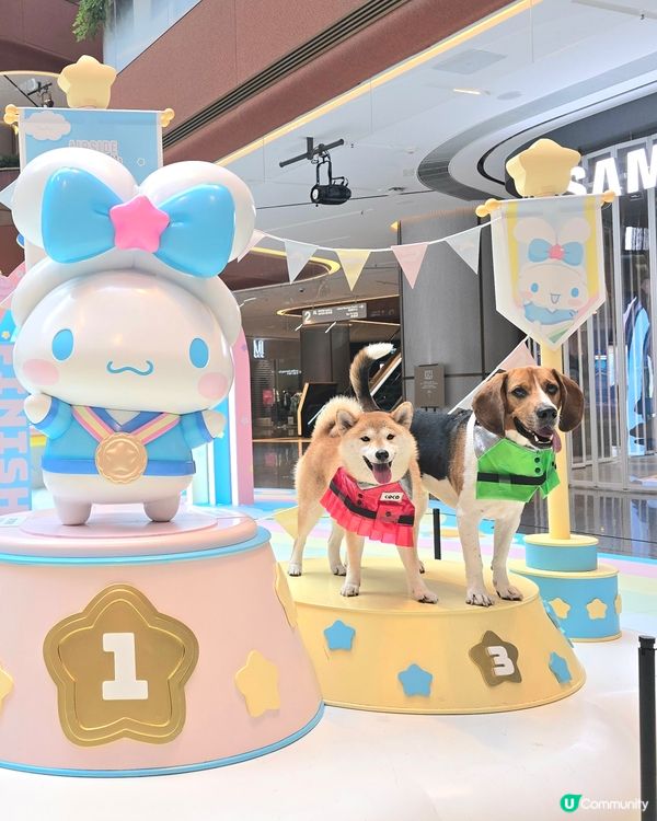 同玉桂狗打個靚卡