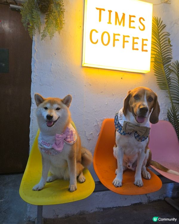 Times Coffee (pet friendly ）