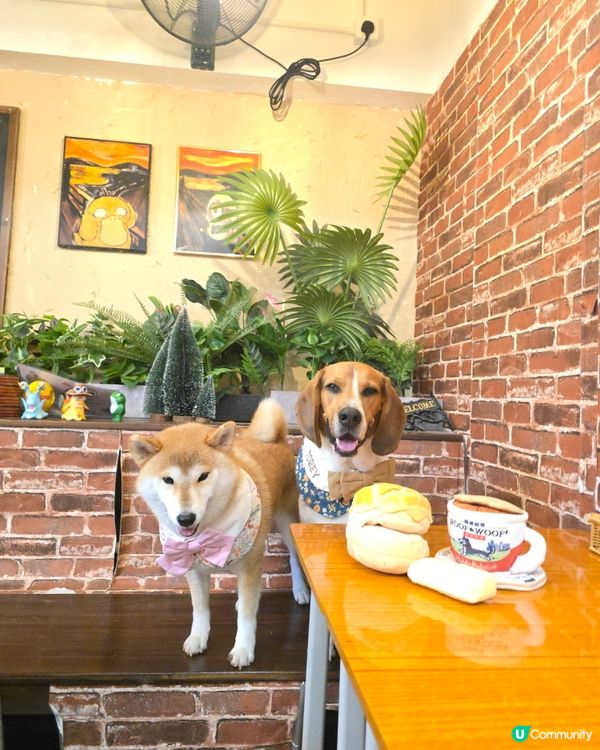 Times Coffee (pet friendly ）
