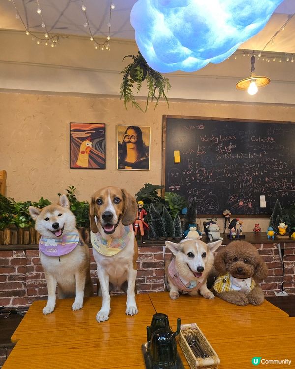 Times Coffee (pet friendly ）