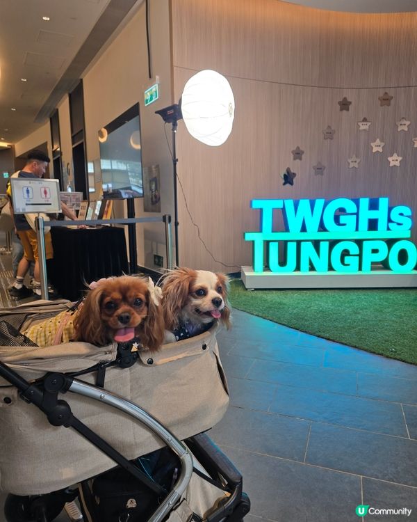 新蒲崗新蒲點-東蒲