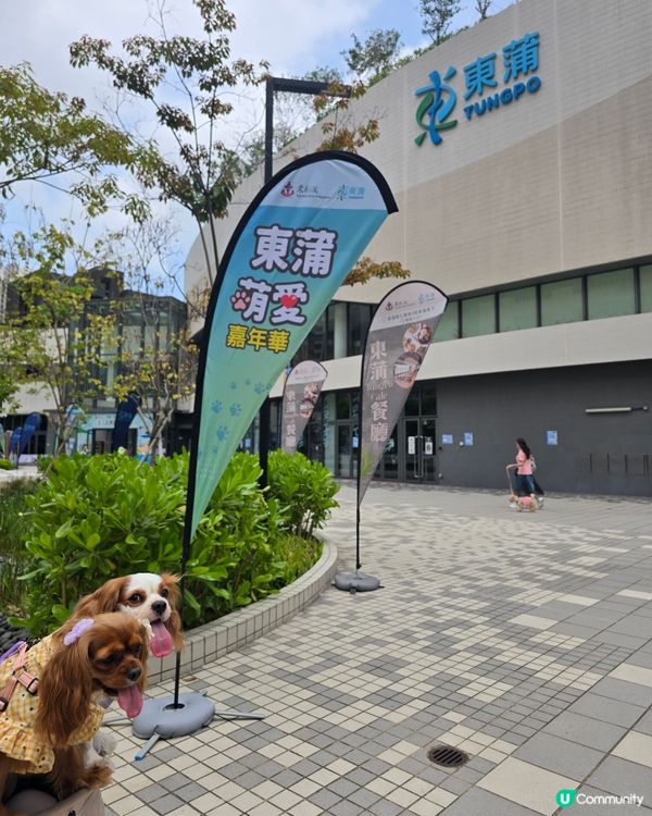 新蒲崗新蒲點-東蒲