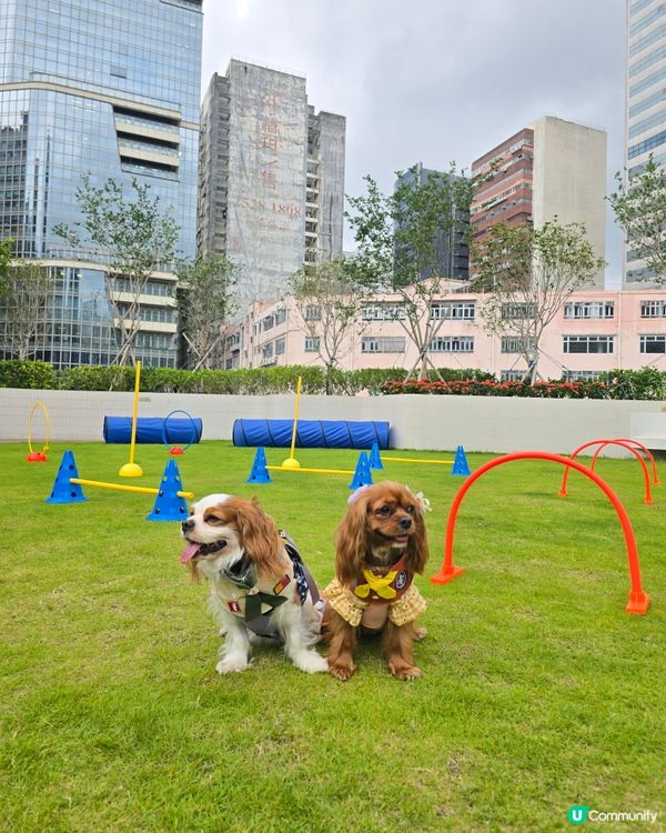 新蒲崗新蒲點-東蒲