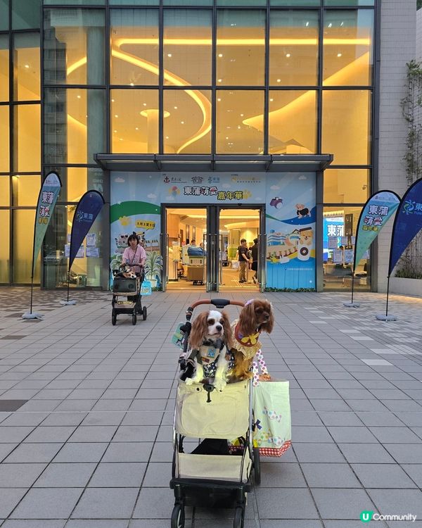 新蒲崗新蒲點-東蒲