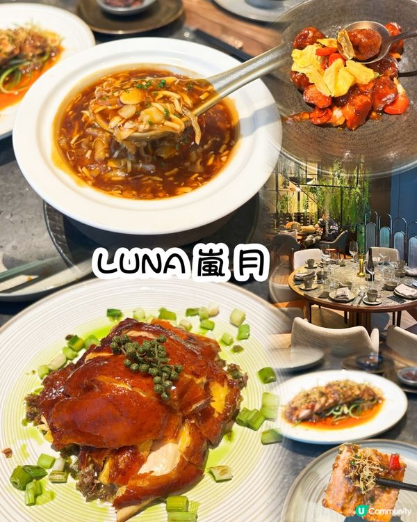 嵐月新派中菜🥢黑珍珠金獎！😋