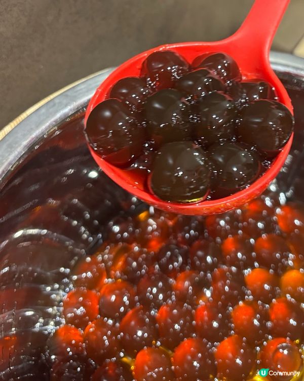 牛乳專門店免費派！黑糖丸🥤！快啲去！