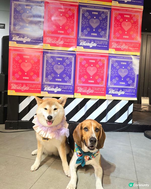 又驚落雨又想玩... 