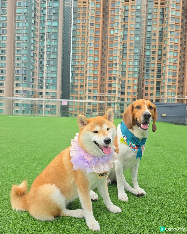 又驚落雨又想玩... 