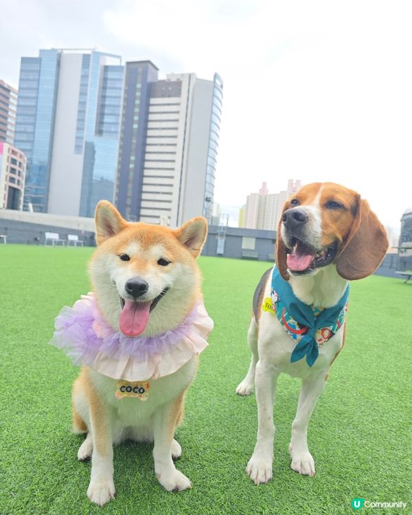 又驚落雨又想玩... 