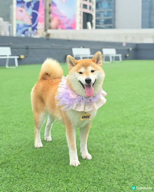 又驚落雨又想玩... 