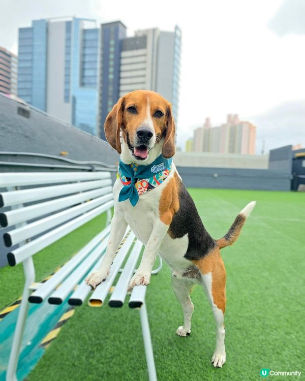 又驚落雨又想玩... 