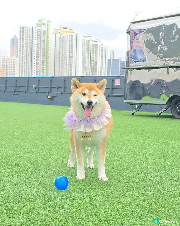 又驚落雨又想玩... 