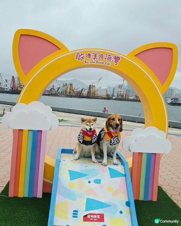 毛孩全新打卡熱點！🟥⬜️🟥⬜️ 啟德型格紅白格仔屋