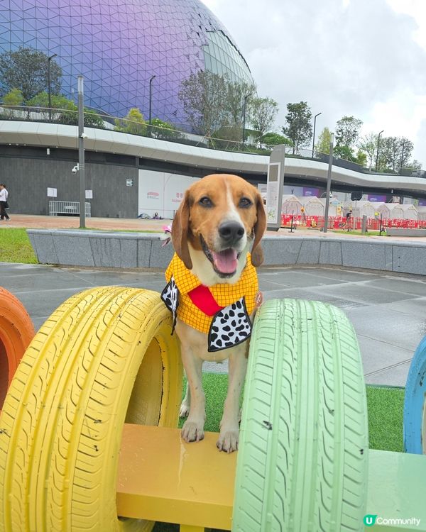 毛孩全新打卡熱點！🟥⬜️🟥⬜️ 啟德型格紅白格仔屋