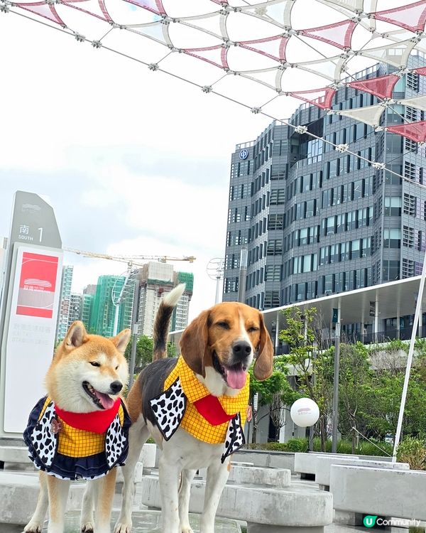 毛孩全新打卡熱點！🟥⬜️🟥⬜️ 啟德型格紅白格仔屋