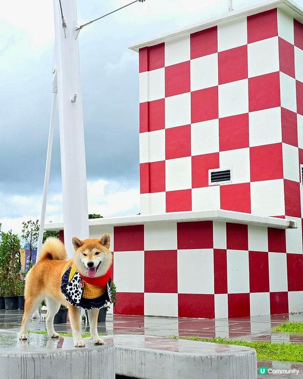 毛孩全新打卡熱點！🟥⬜️🟥⬜️ 啟德型格紅白格仔屋