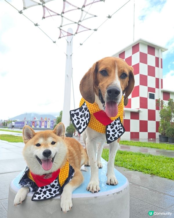 毛孩全新打卡熱點！🟥⬜️🟥⬜️ 啟德型格紅白格仔屋