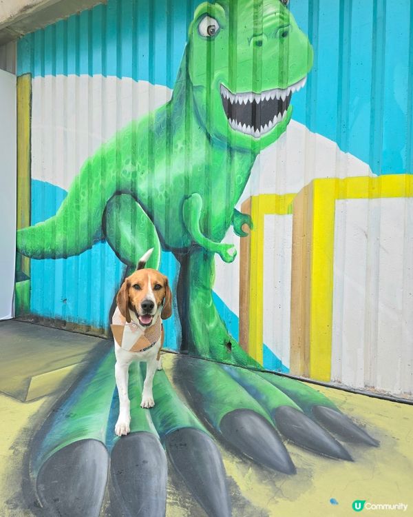 環境優美的東岸版度