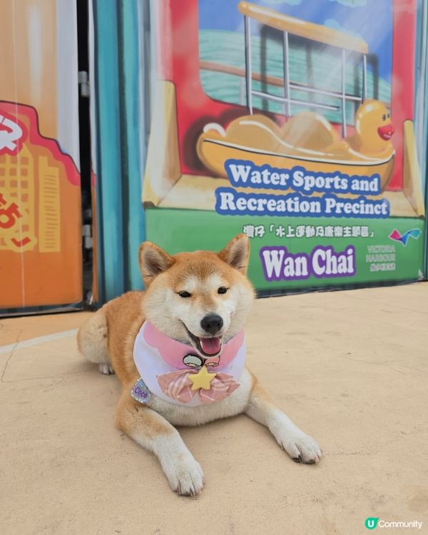 環境優美的東岸版度