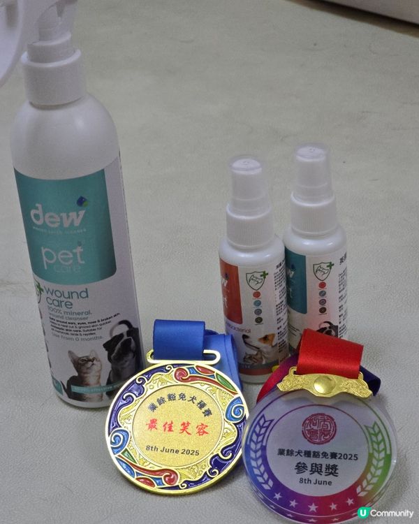 #大瀧愛寵冠軍狗展 #香港狗會 