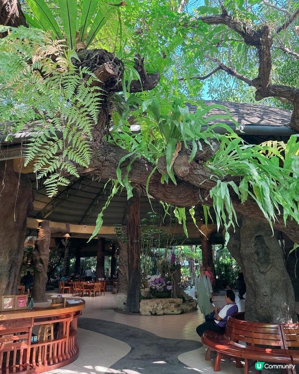 人工流水瀑布吃泰北菜 