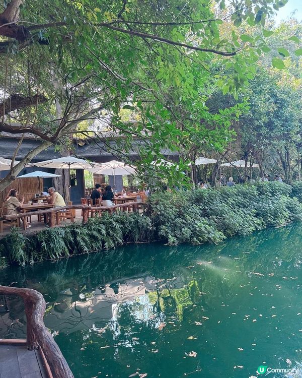 人工流水瀑布吃泰北菜 